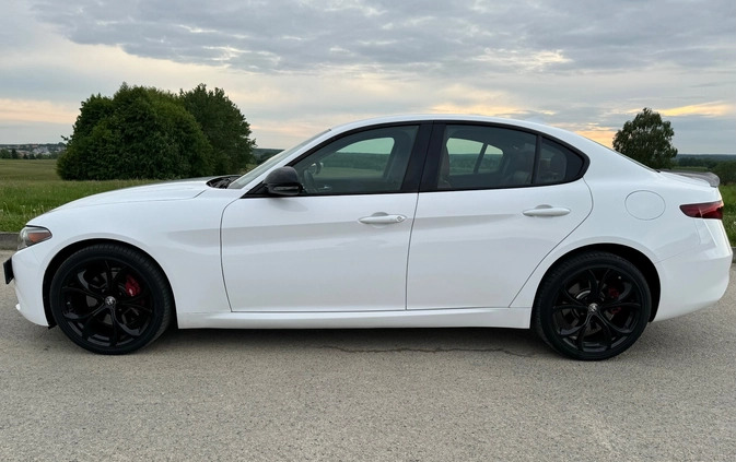 Alfa Romeo Giulia cena 104550 przebieg: 61257, rok produkcji 2019 z Rzeszów małe 211